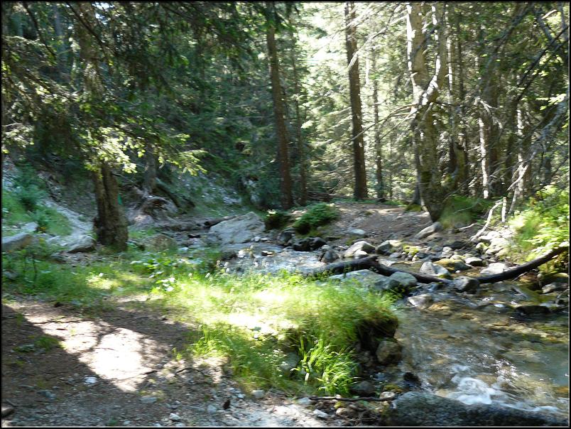 Montée dans le Vallon de Salèse