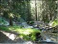 Montée dans le Vallon de Salèse