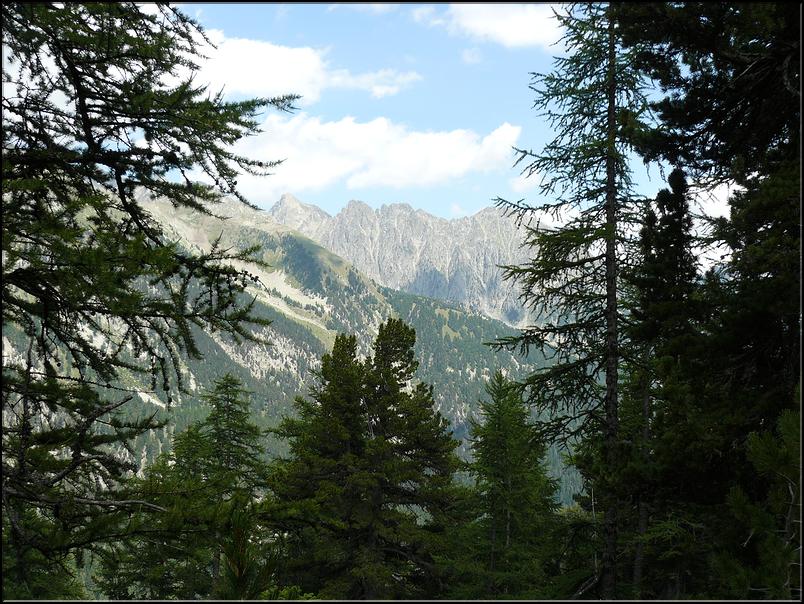 descente par le sentier des chasseurs vers le parking de Salèse. Vue sur la cime de Baissettes (2822m), les cayres Nègres et le Mt pélago(2768m)
