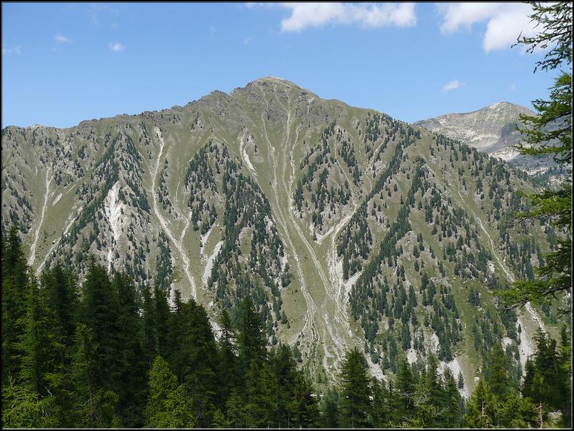 mont Rogué