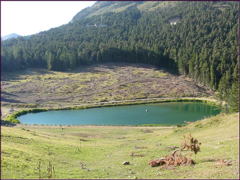 Le lac artificiel de la Colmiane et la déforestation en vue d'un second lac...