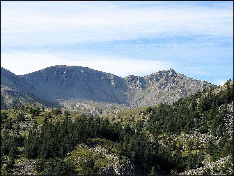 En montant le vallon de Gialorgues. En arrière plan, la Cime de Bolofre et le Rocher du Pigeon